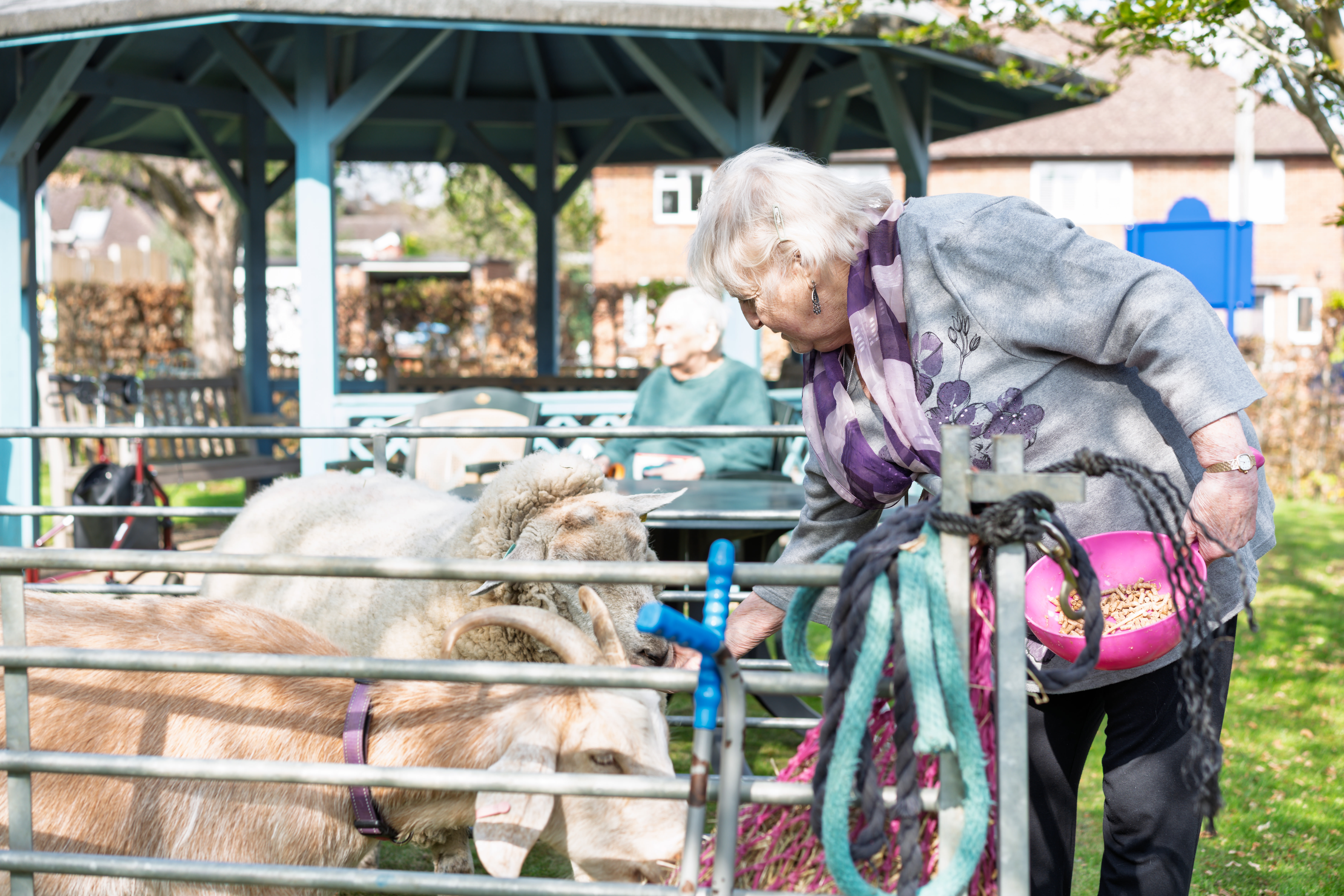 Resident Enjoying A Petting Zoo Visit At David Gresham House
