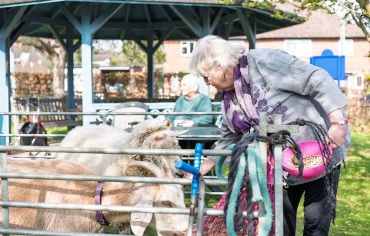 Resident Enjoying A Petting Zoo Visit At David Gresham House