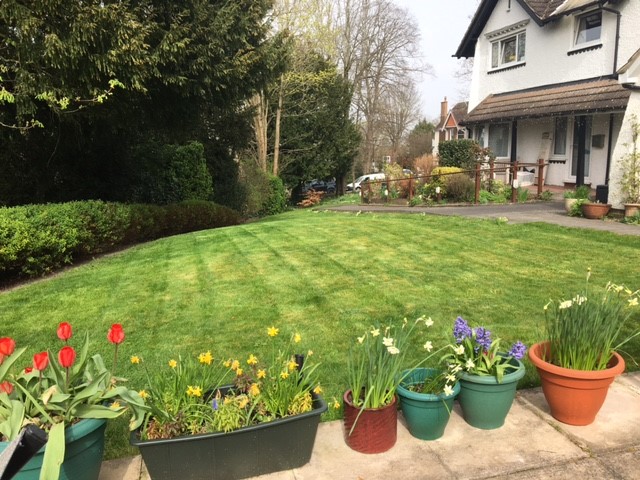 beautiful-lawns-at-Abbeyfield House, Sanderstead CR2 0AA