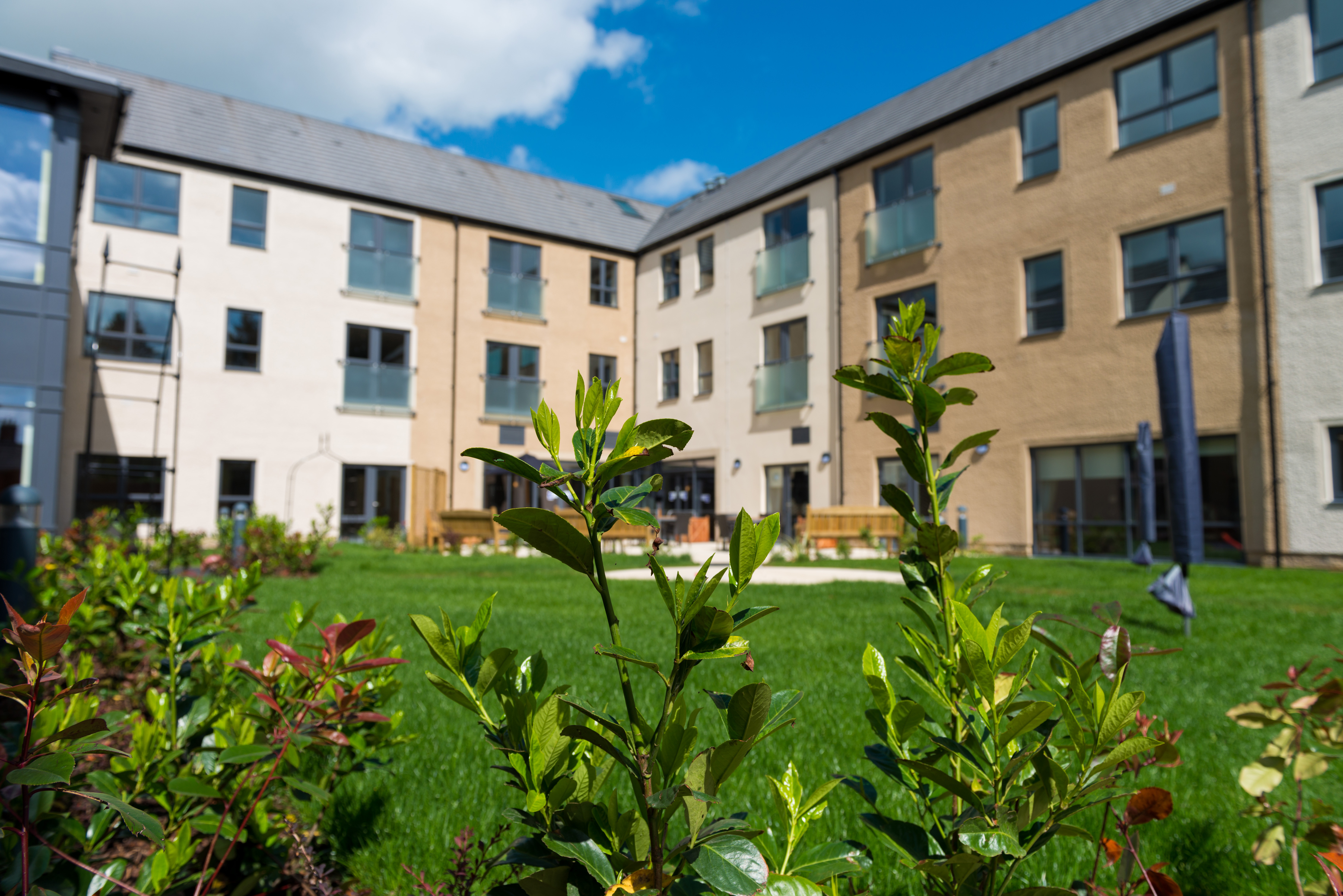 Rear garden of Burnham Court, Malmesbury SN16 0FN