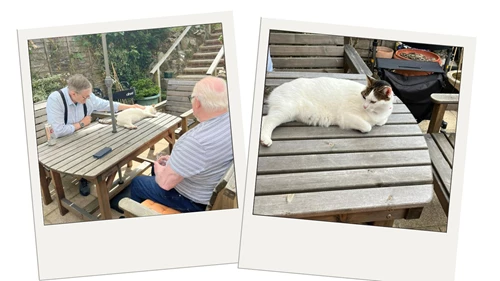 Beamsley A Quiet Drink With Next Door S Cat