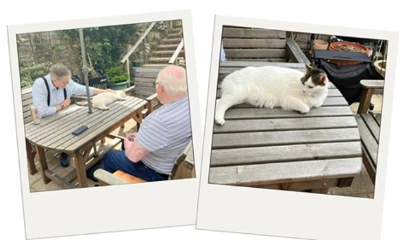 Beamsley A Quiet Drink With Next Door S Cat