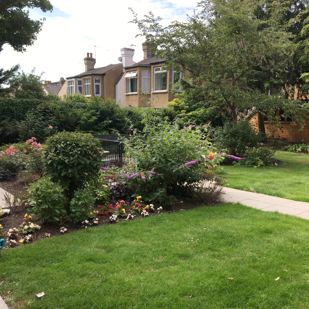 Flowers and shrubs in the garden at Rider House, Loughton IG10 4LT