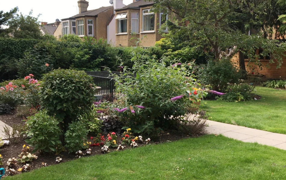 Flowers and shrubs in the garden at Rider House, Loughton IG10 4LT