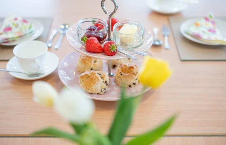 Afternoon Tea At Holloway House