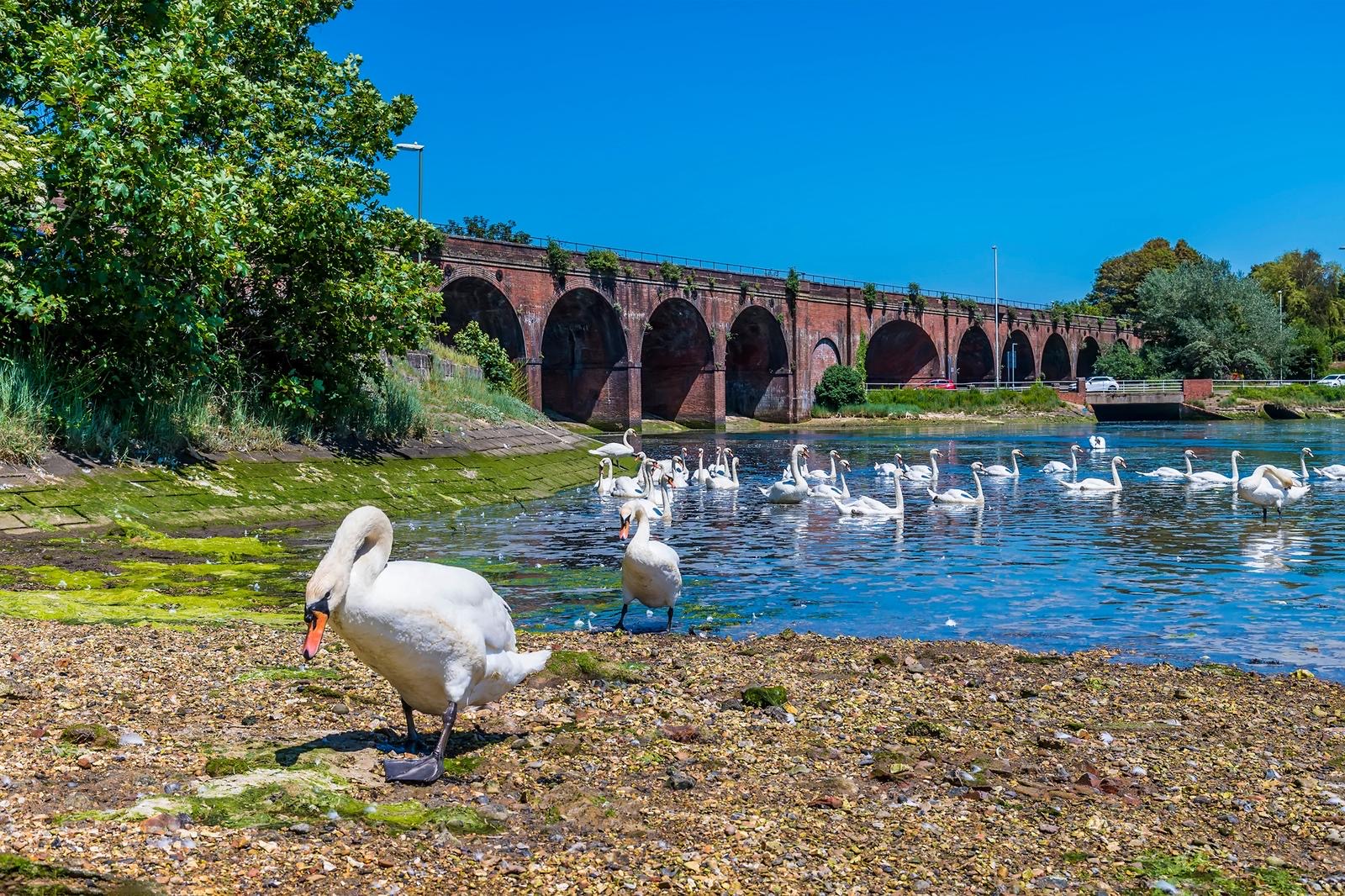 Beautiful Outside Scenary, Fareham