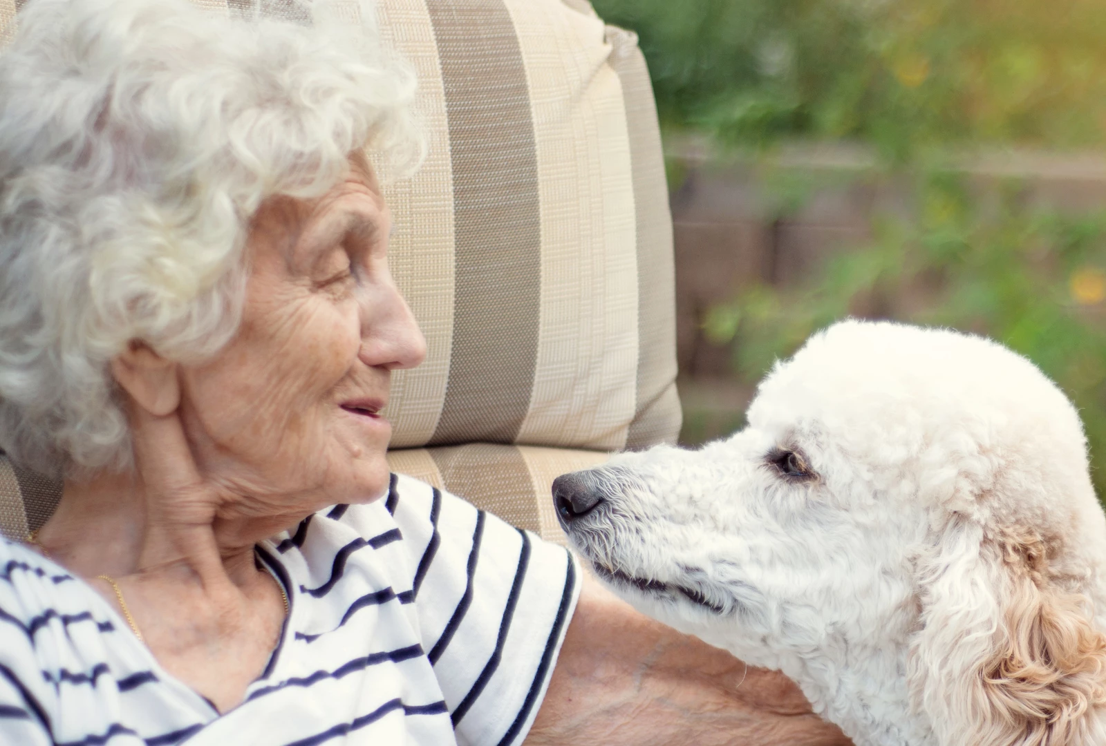 Five ways dogs enhance the lives of older people