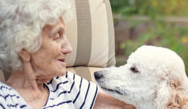 Five ways dogs enhance the lives of older people