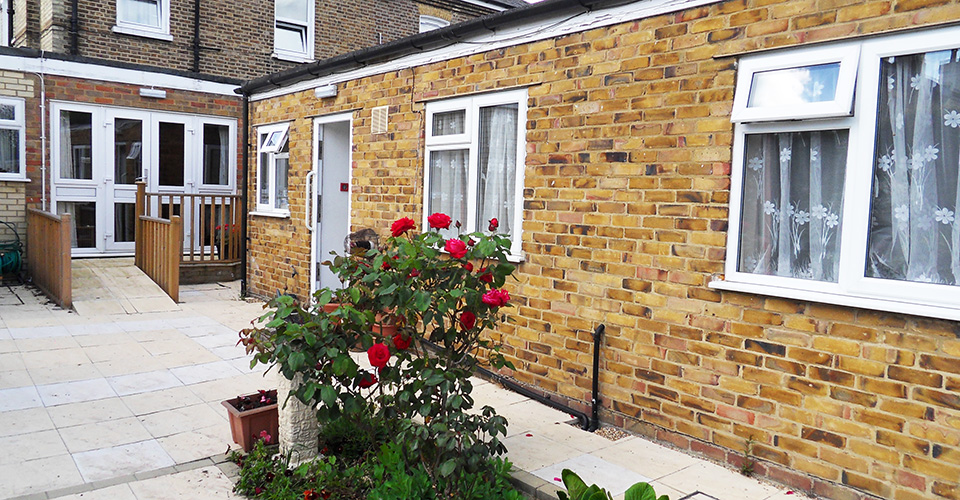Beautiful roses in the garden at Wendover House