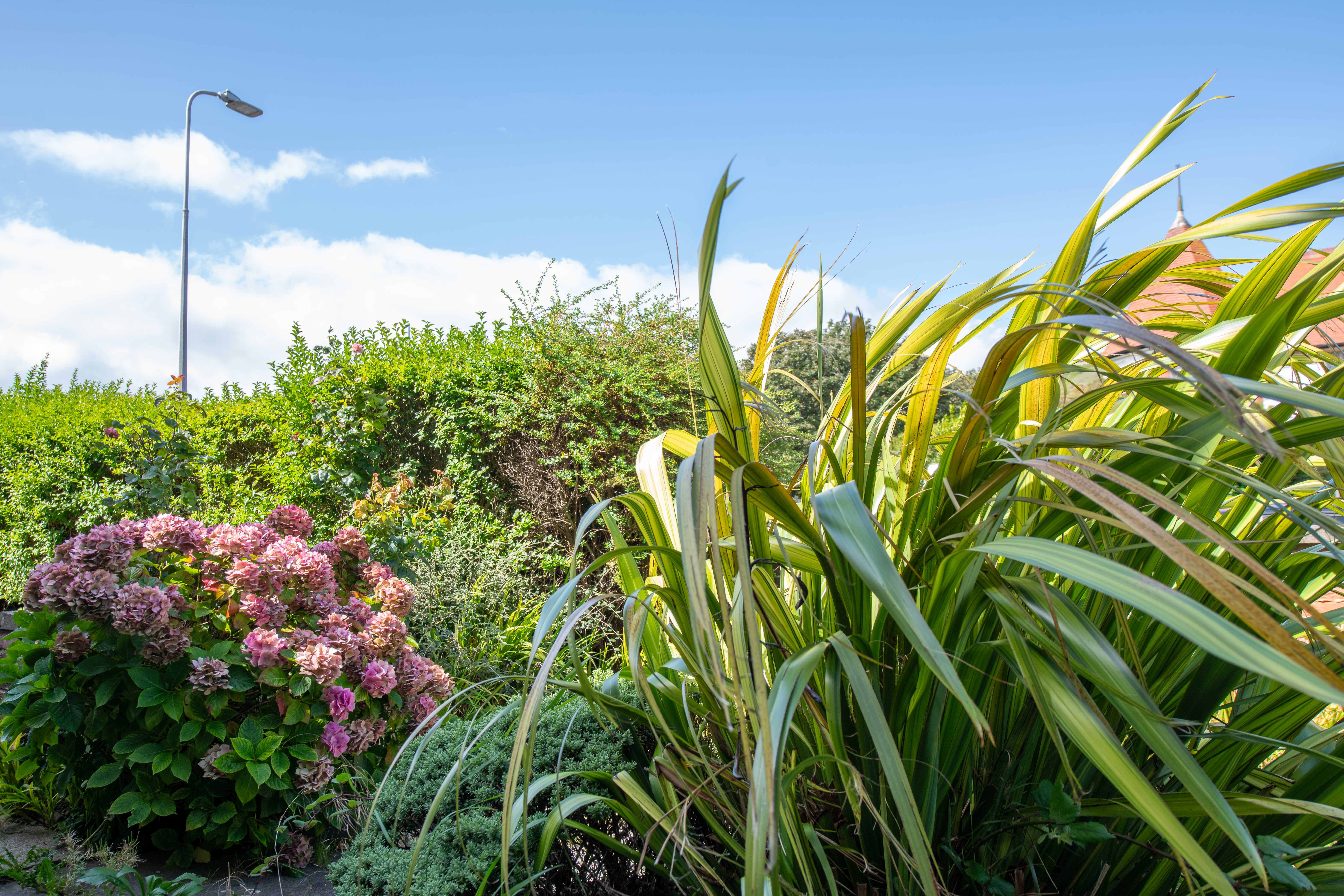 Garden at Abbeyfield House, Llandudno, LL30 2YP