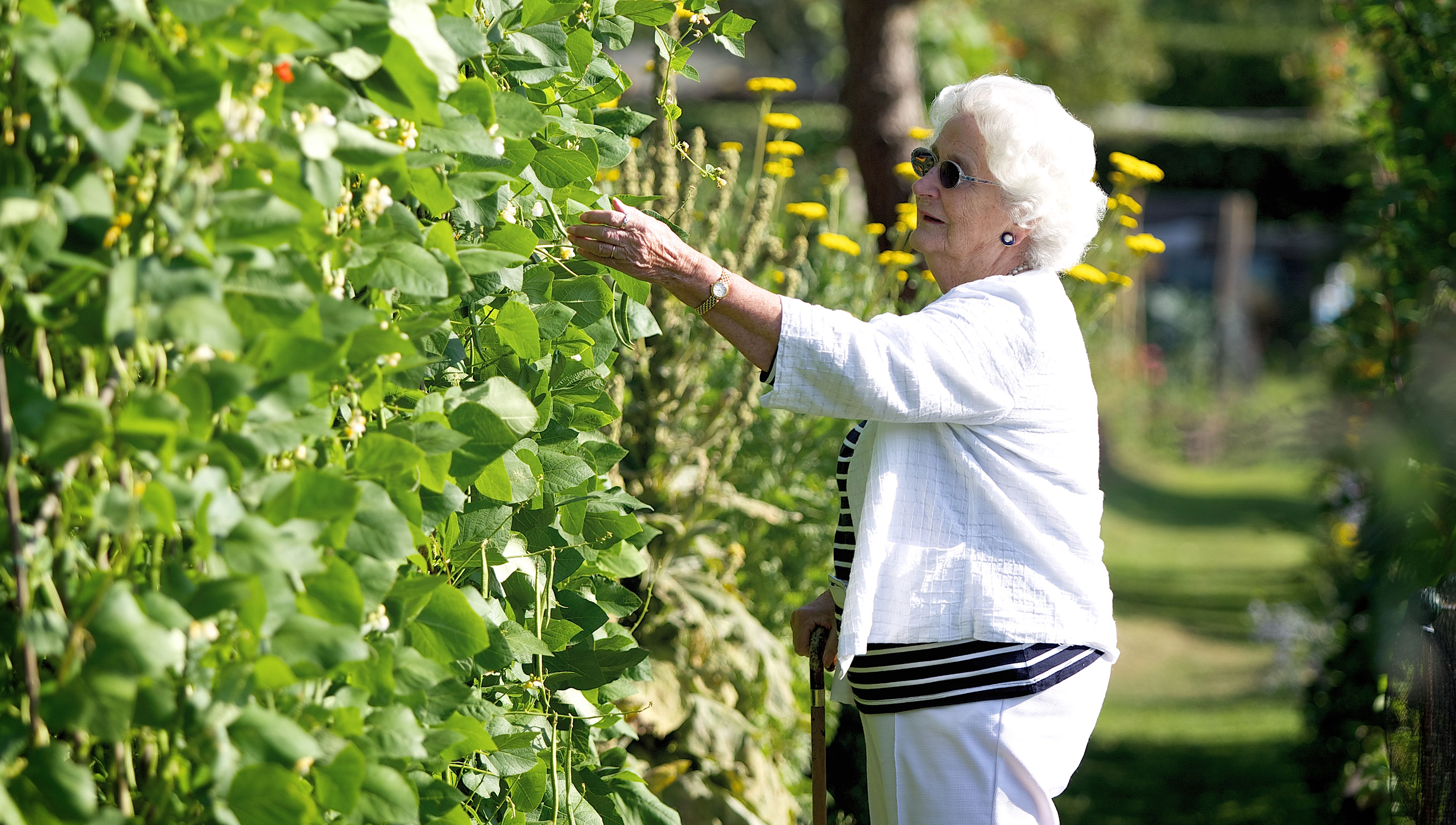 Green-fingered residents love tending to the garden