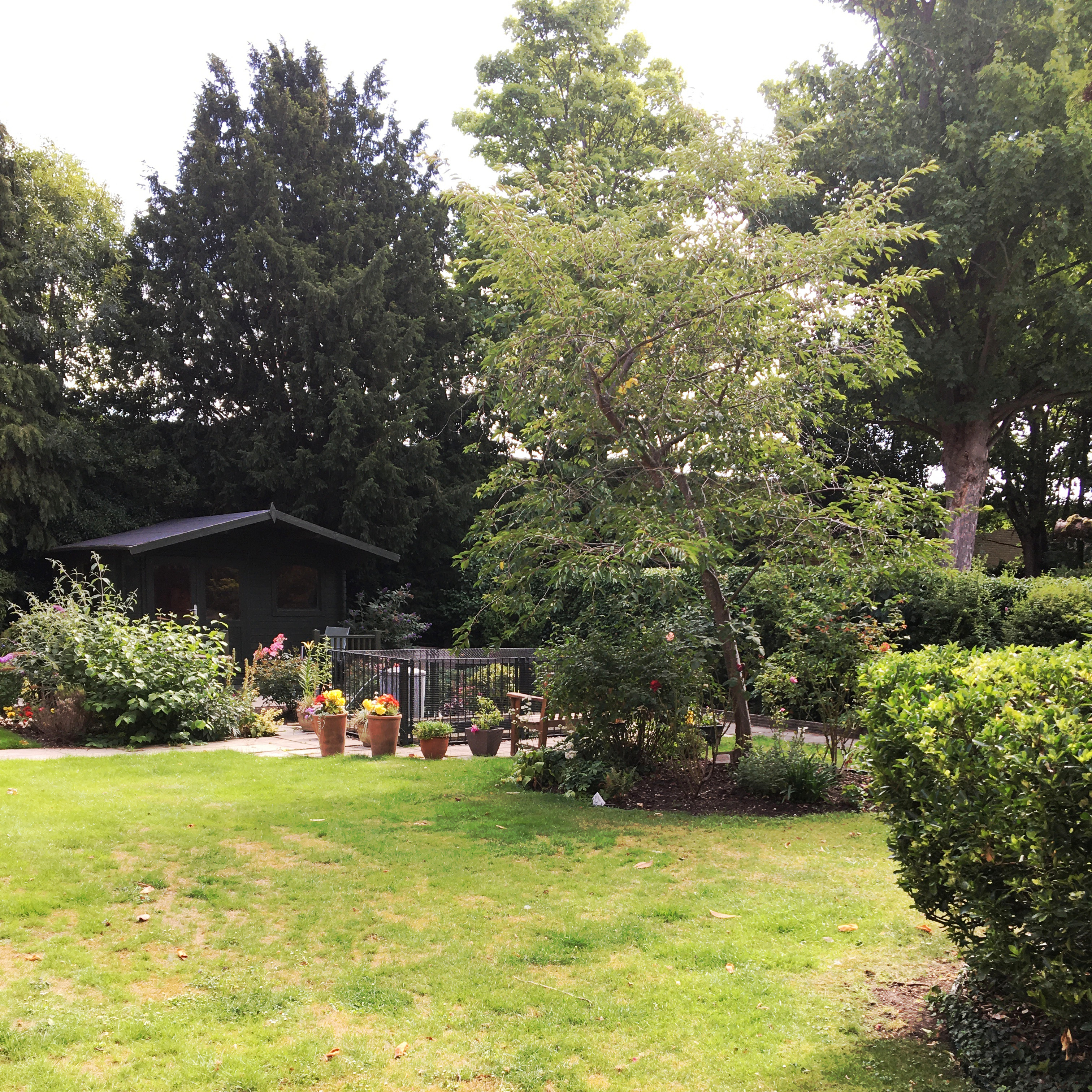 Garden at Rider House, Loughton IG10 4LT