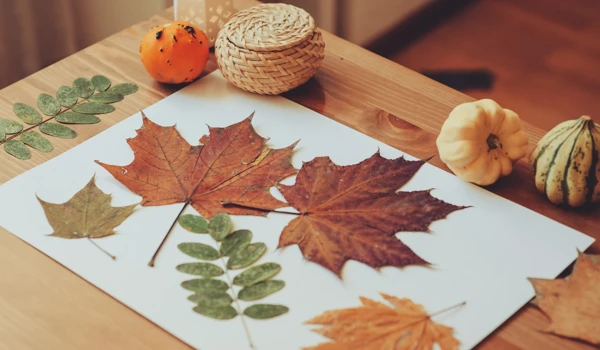 A Green Halloween: Five Easy Eco-Friendly Halloween Crafts | Abbeyfield Blog