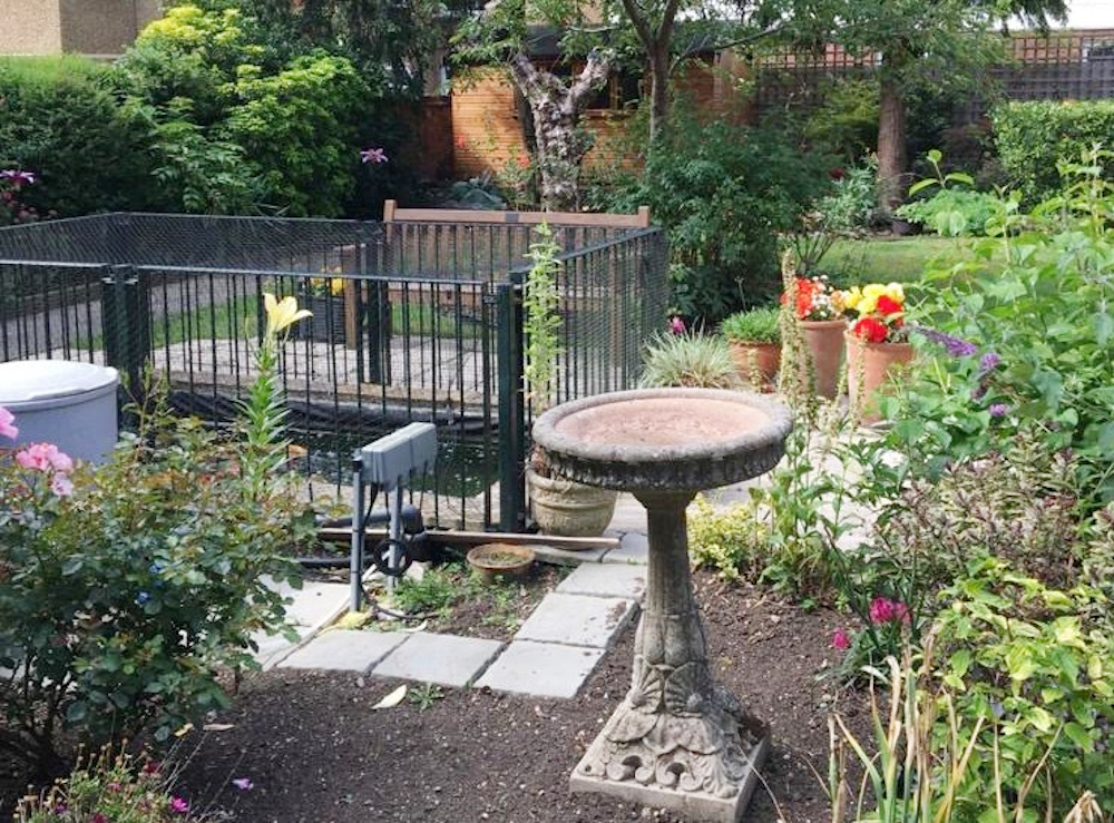 Bird table and fish pond at Rider House, Loughton IG10 4LT