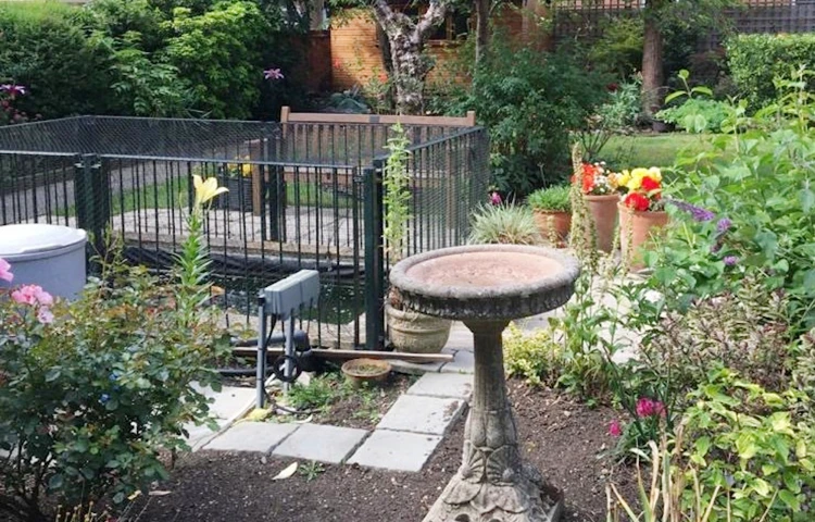Bird table and fish pond at Rider House, Loughton IG10 4LT