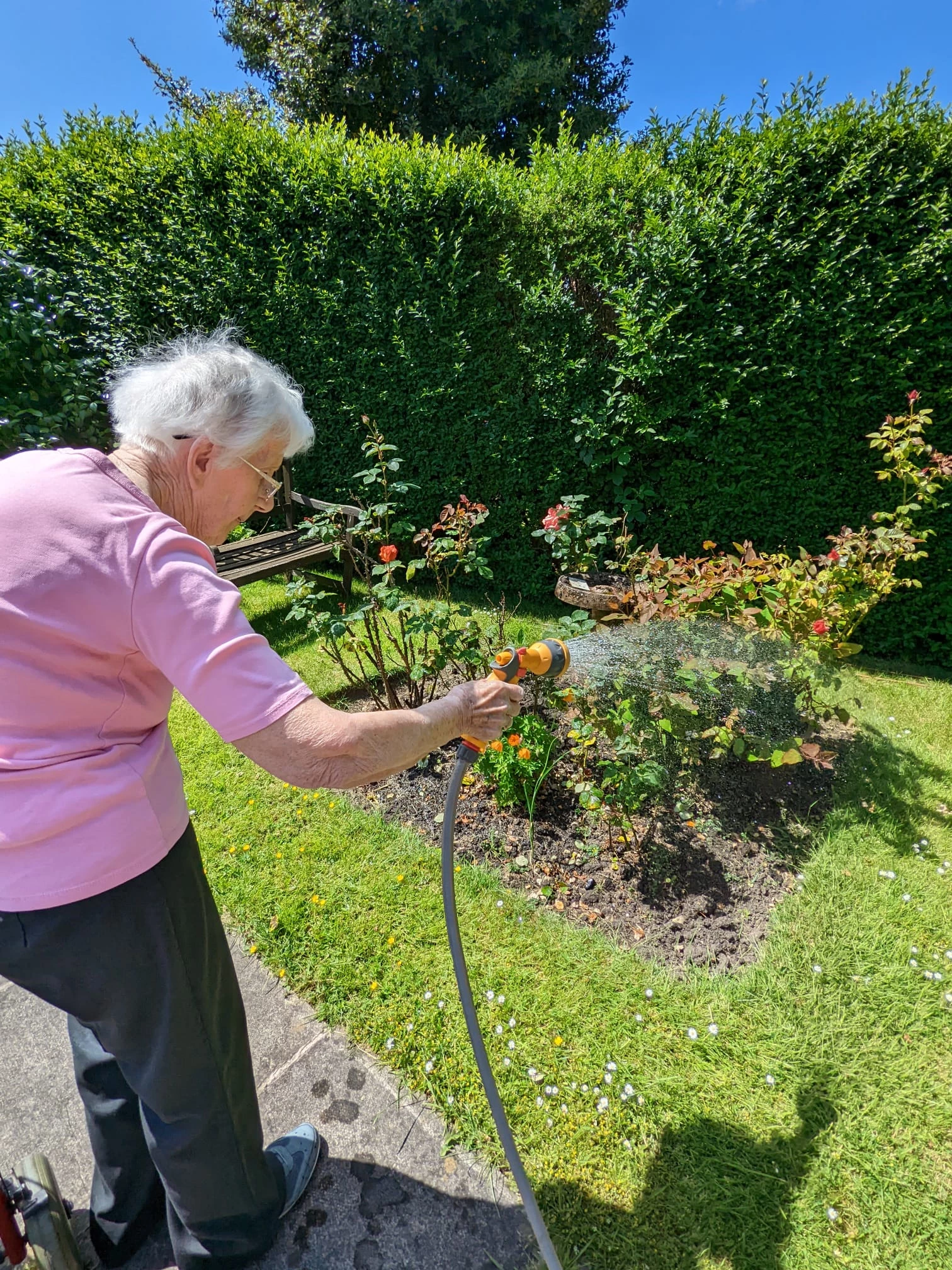 Seven health and wellbeing benefits of gardening