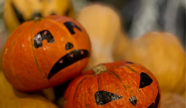 Pile Of Painted Pumpkins