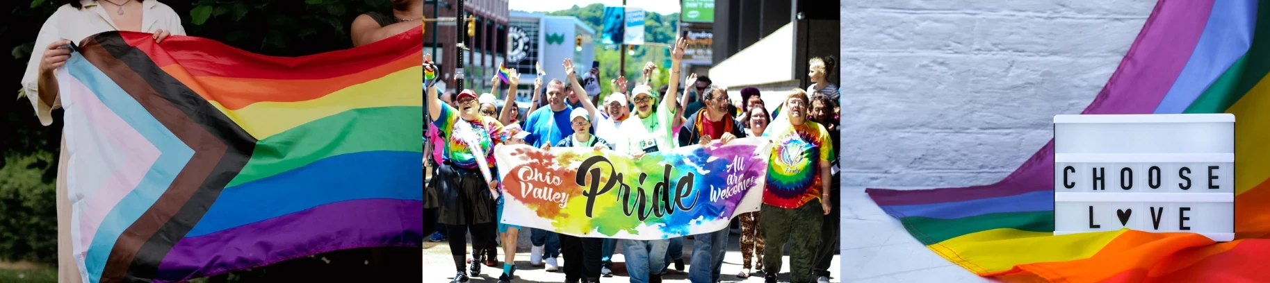 Collage of pride images