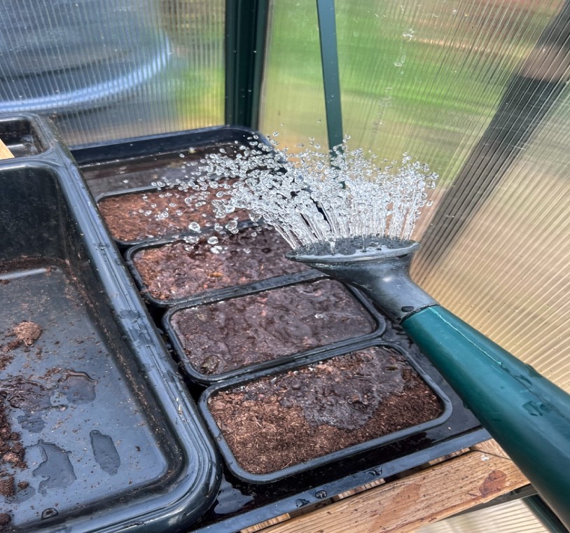 Watering The Compost