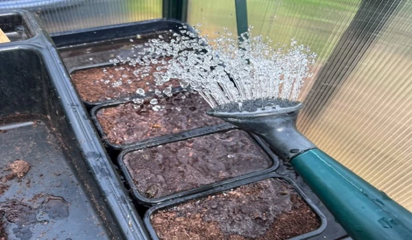 Watering The Compost