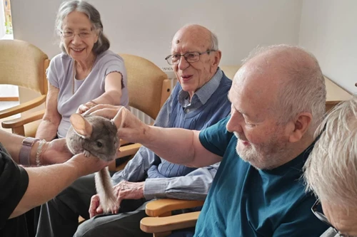 Animal Magic Brings Wild and Wonderful Guests to Beachside