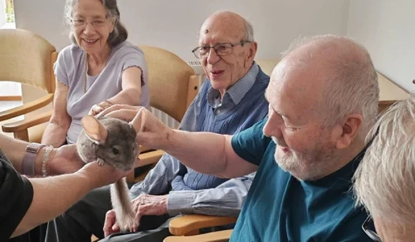 Animal Magic Brings Wild and Wonderful Guests to Beachside