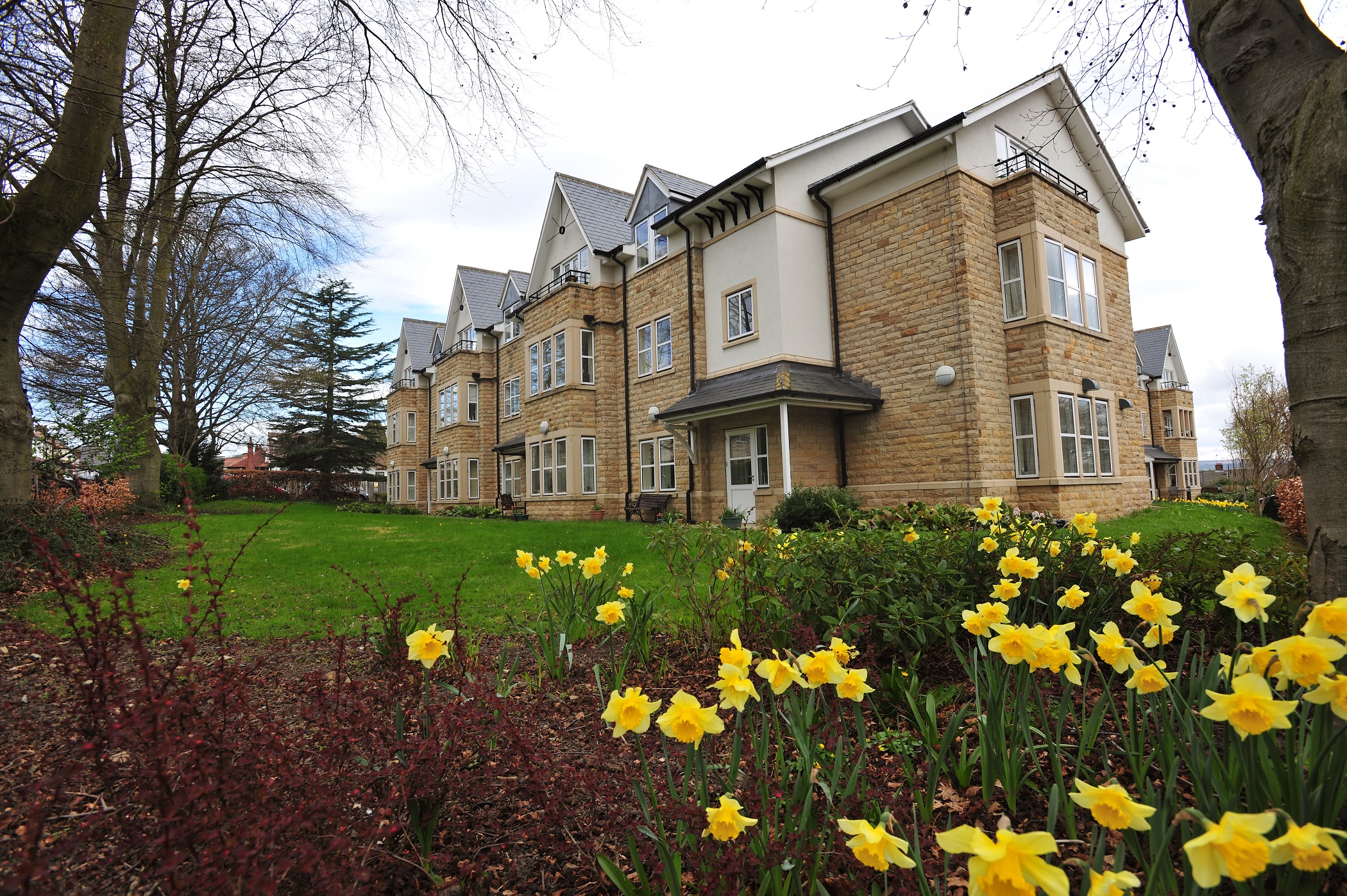 Abbeyfield The Beeches a large stone building set behind a bed of daffodils
