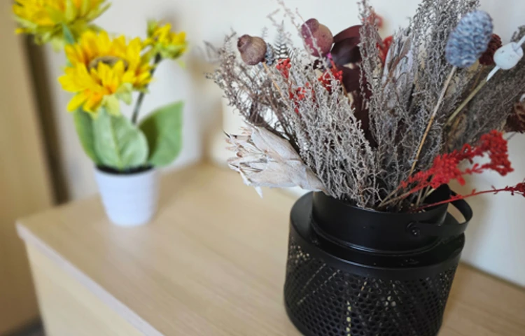 Flowers In Pots On Side Cabinet At Downing House, M20 4PP