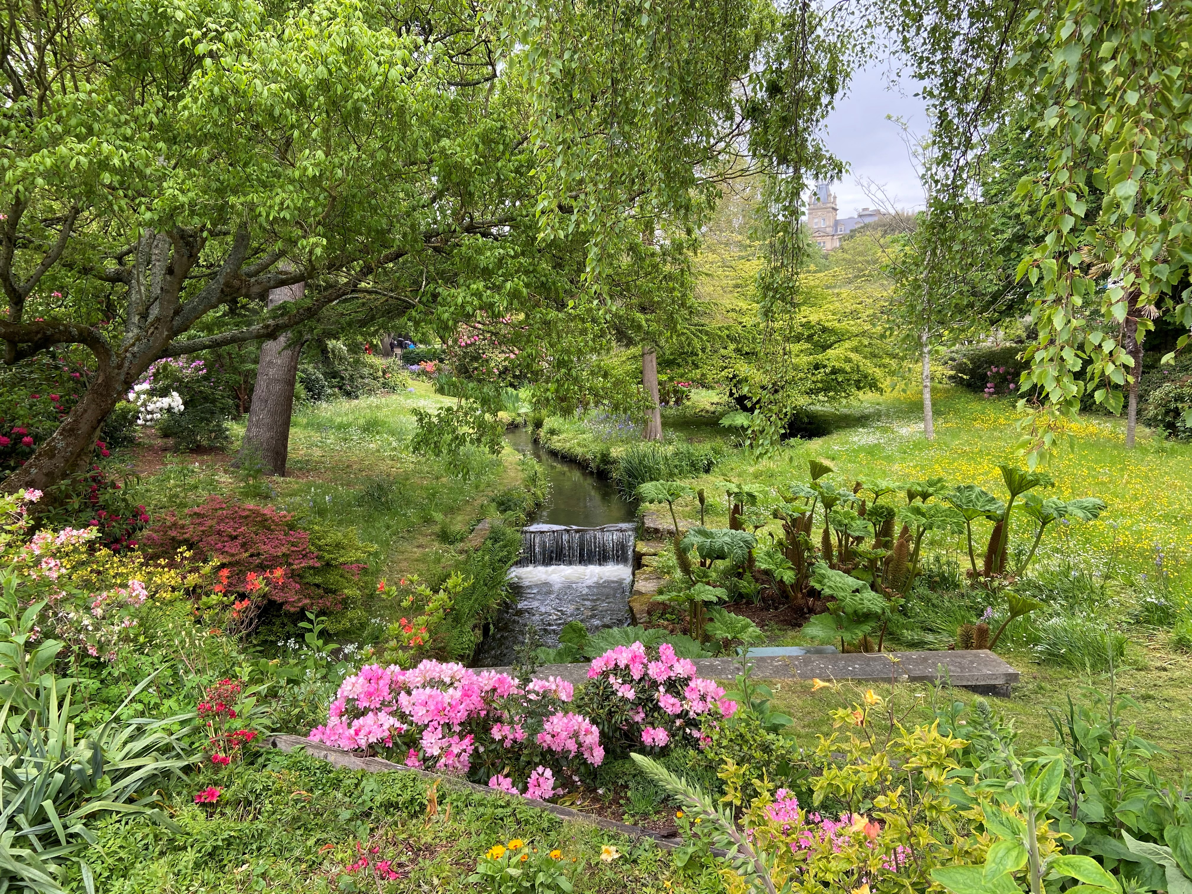 Stunning gardens with waterfall, flowers and trees at Westbourne House