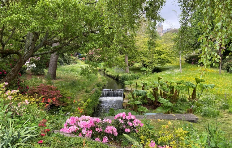 Stunning gardens with waterfall, flowers and trees at Westbourne House