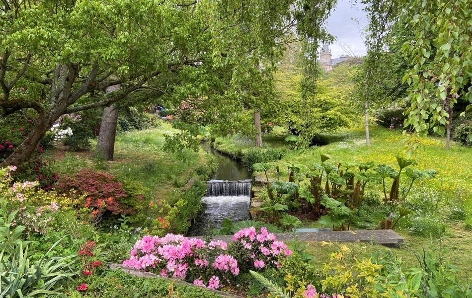 Stunning gardens with waterfall, flowers and trees at Westbourne House
