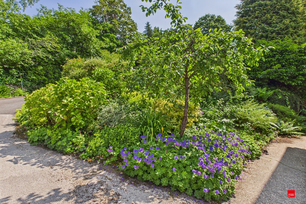 Gardens Plants And Flowers At Abbeyfield Nine Oaks In Windermere, LA23 1BB