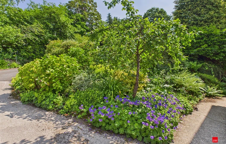 Gardens Plants And Flowers At Abbeyfield Nine Oaks In Windermere, LA23 1BB