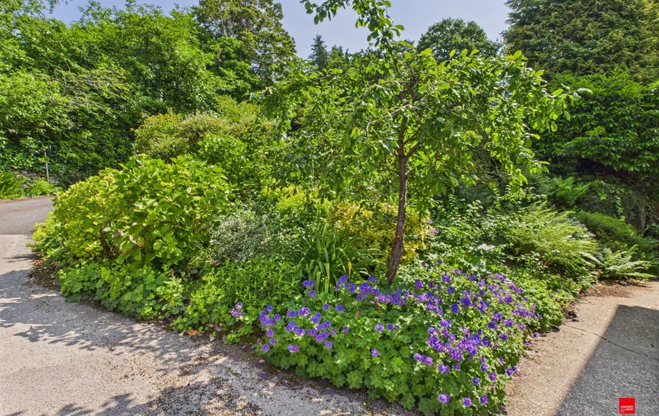Gardens Plants And Flowers At Abbeyfield Nine Oaks In Windermere, LA23 1BB