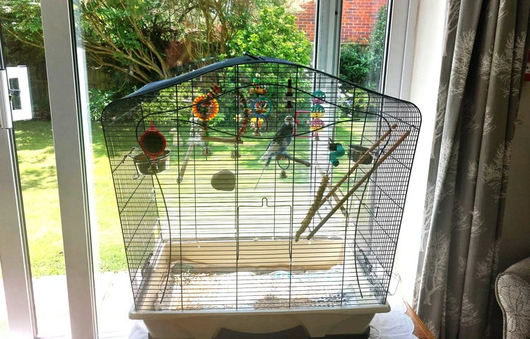 Budgie Cage Overlooking The Beautiful Garden at Abbeyfield House, Havant PO9 2SS