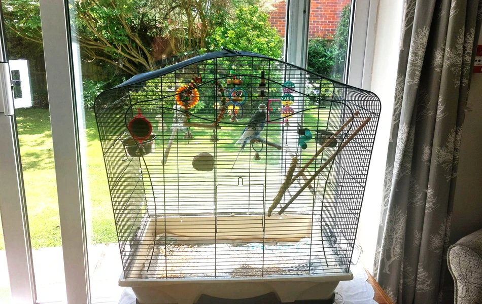 Budgie Cage Overlooking The Beautiful Garden at Abbeyfield House, Havant PO9 2SS