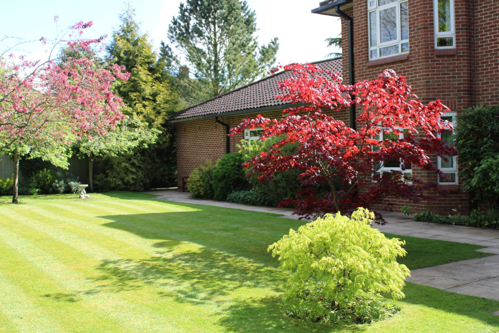 stunning-landscaped-garden at Abbeyfield House (SH), York YO24 1LL