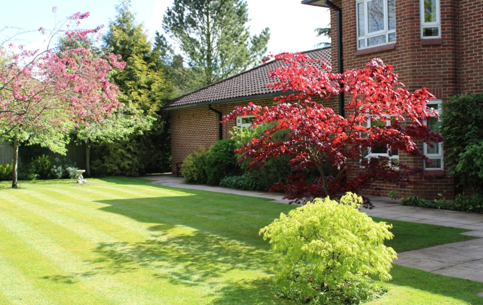 stunning-landscaped-garden at Abbeyfield House (SH), York YO24 1LL