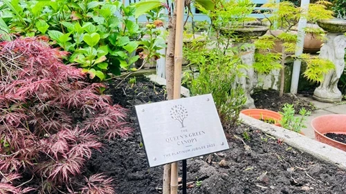 A plaque saying "Queens green canopy" outdoors