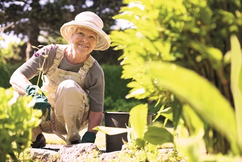 A woman gardening
